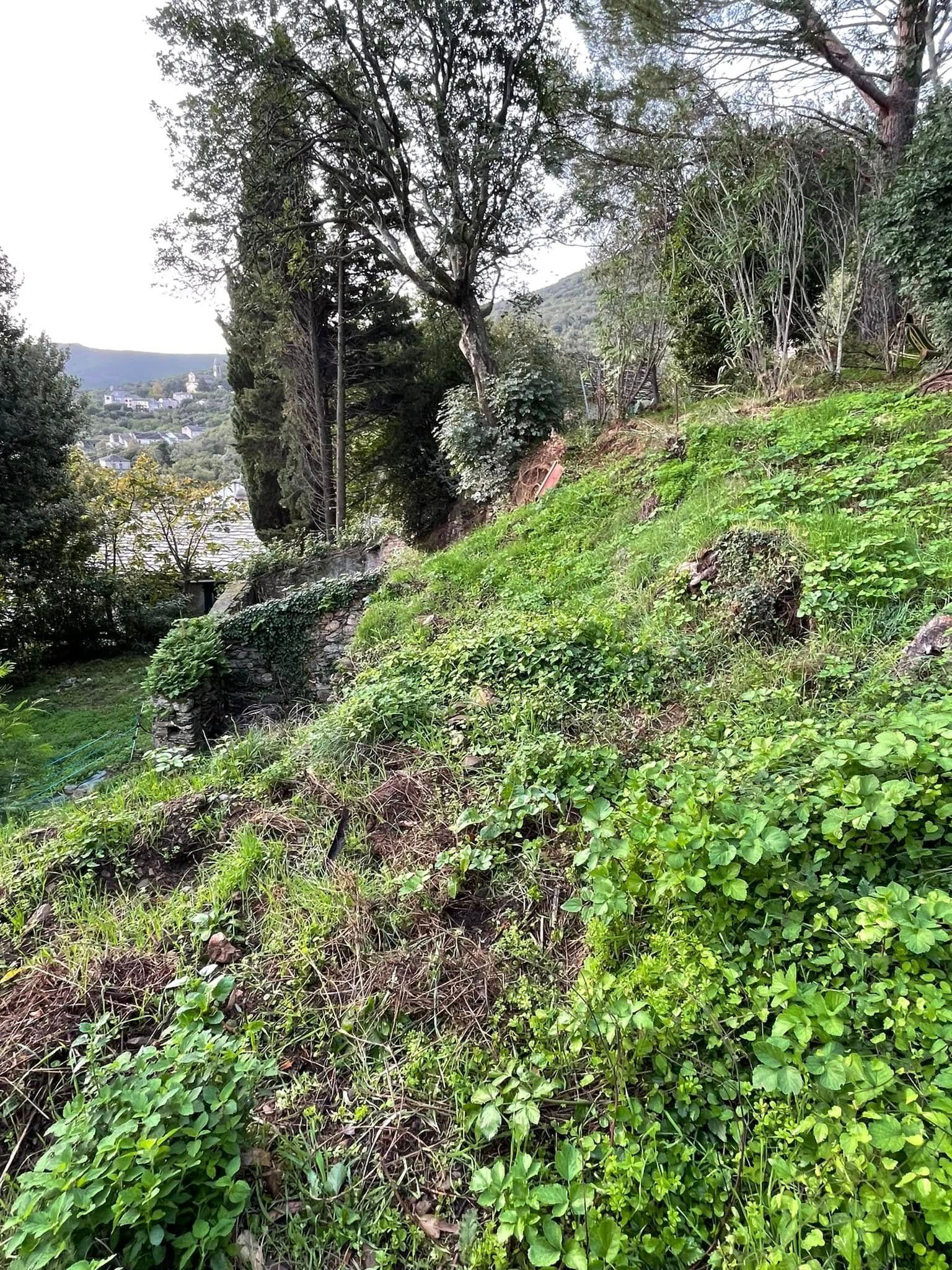 Paysage avant l'aménagement d'un sentier de randonnée