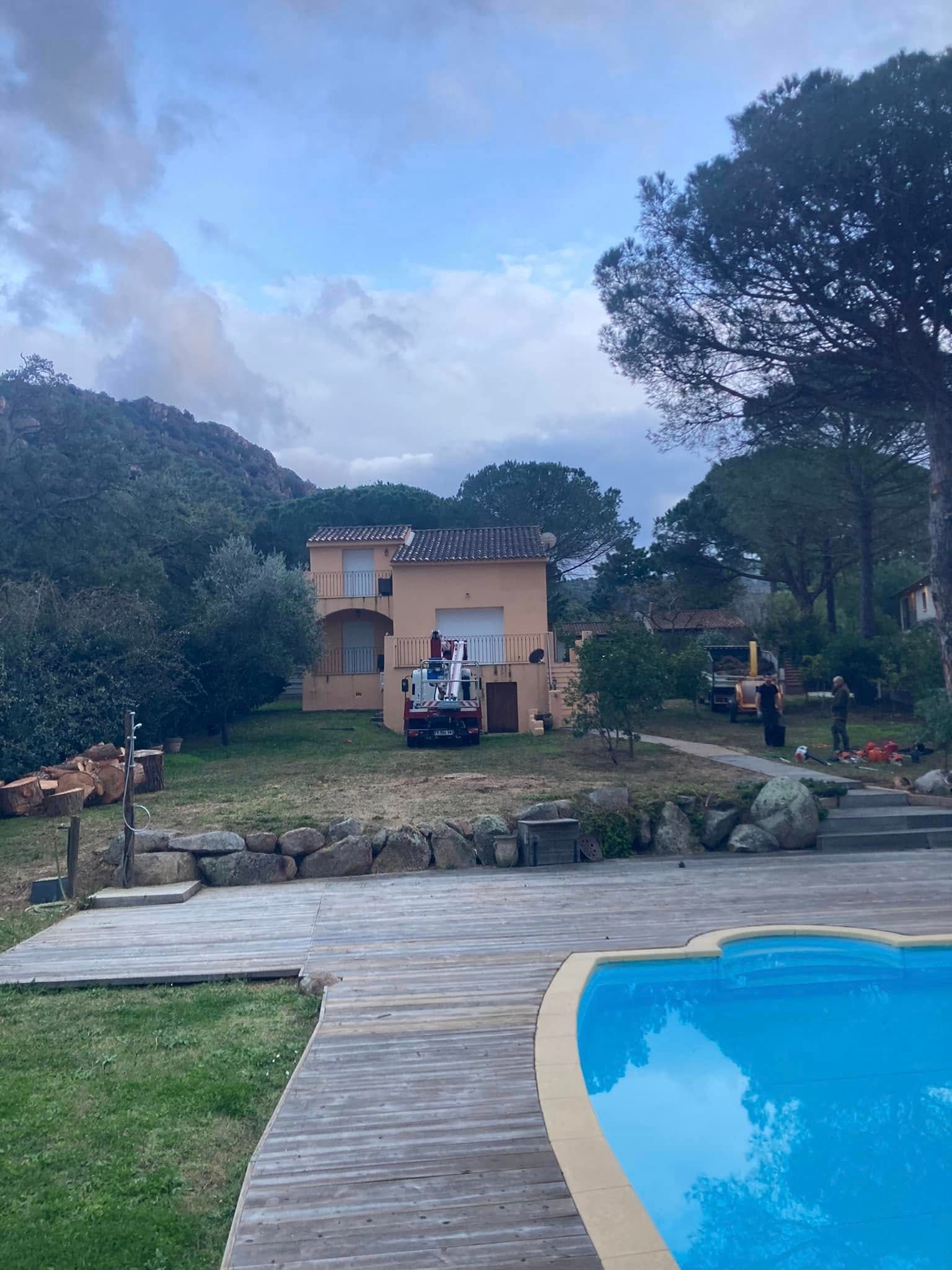 Un arbre coupé dans un jardin