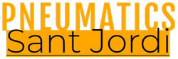 "NEUMÁTICA" en texto naranja sobre un bloque rectangular naranja con "Sant Jordi" en texto negro.