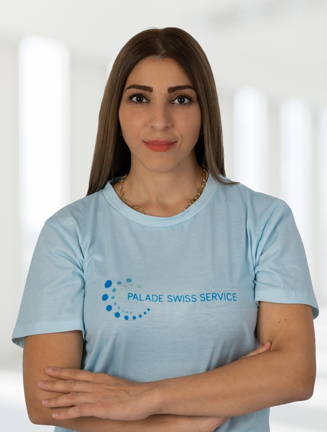 Palade Swiss Service - logo