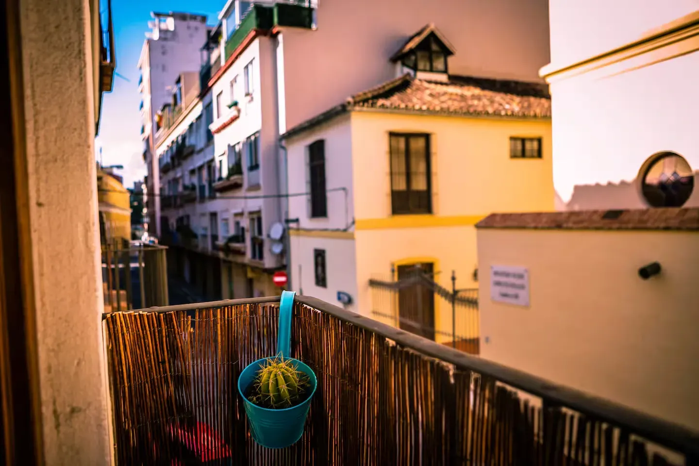 Vista desde un balcón de una estrecha calle europea. Un cactus en una maceta azul cuelga de la barandilla de bambú.