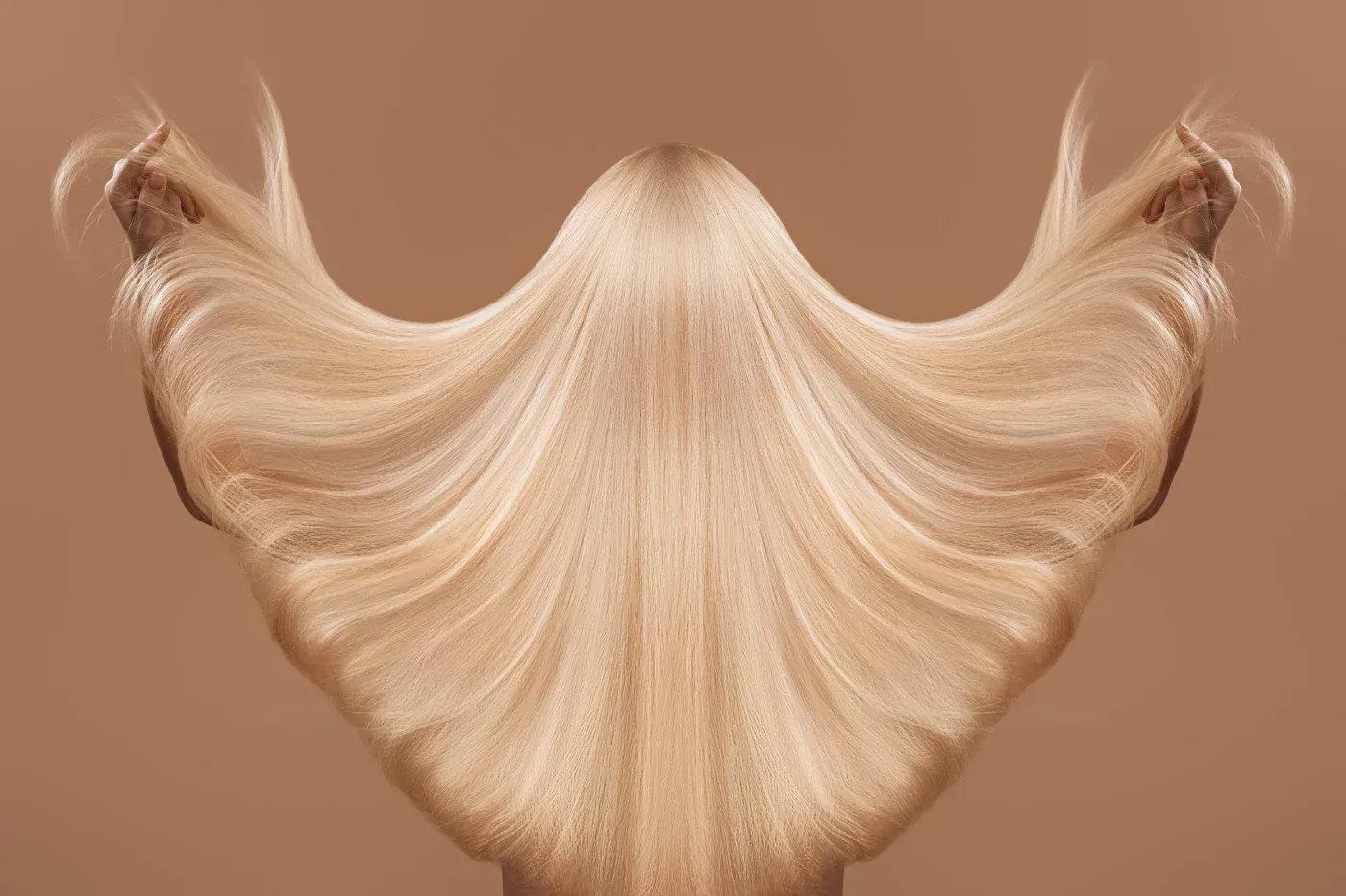 Cabello rubio peinado en forma simétrica, similar a un ala, sobre un fondo marrón.