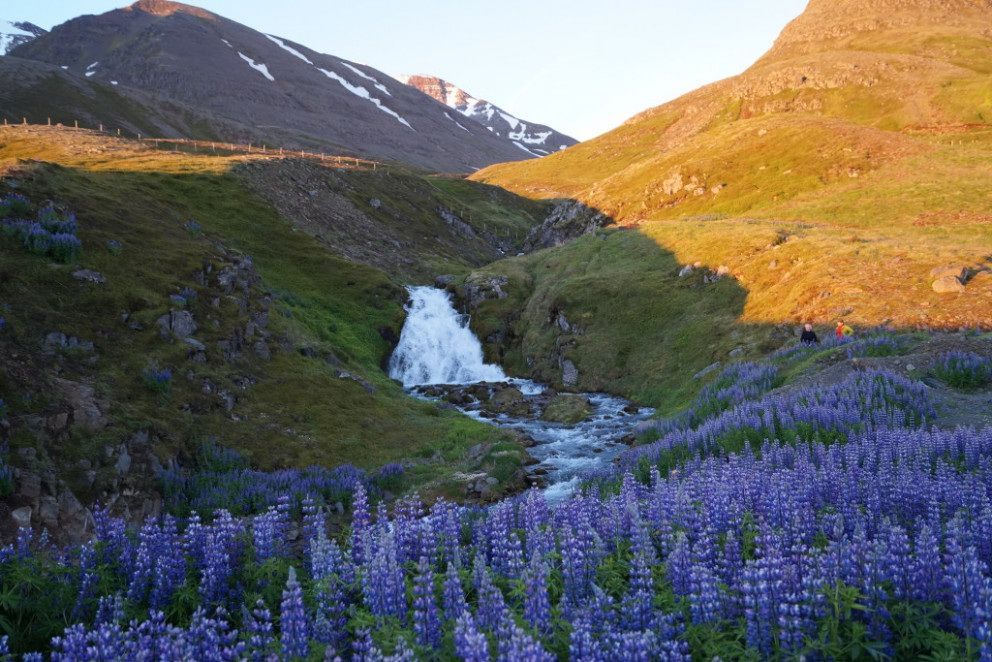 Sólstöðuganga á Múlakollu  3 skór