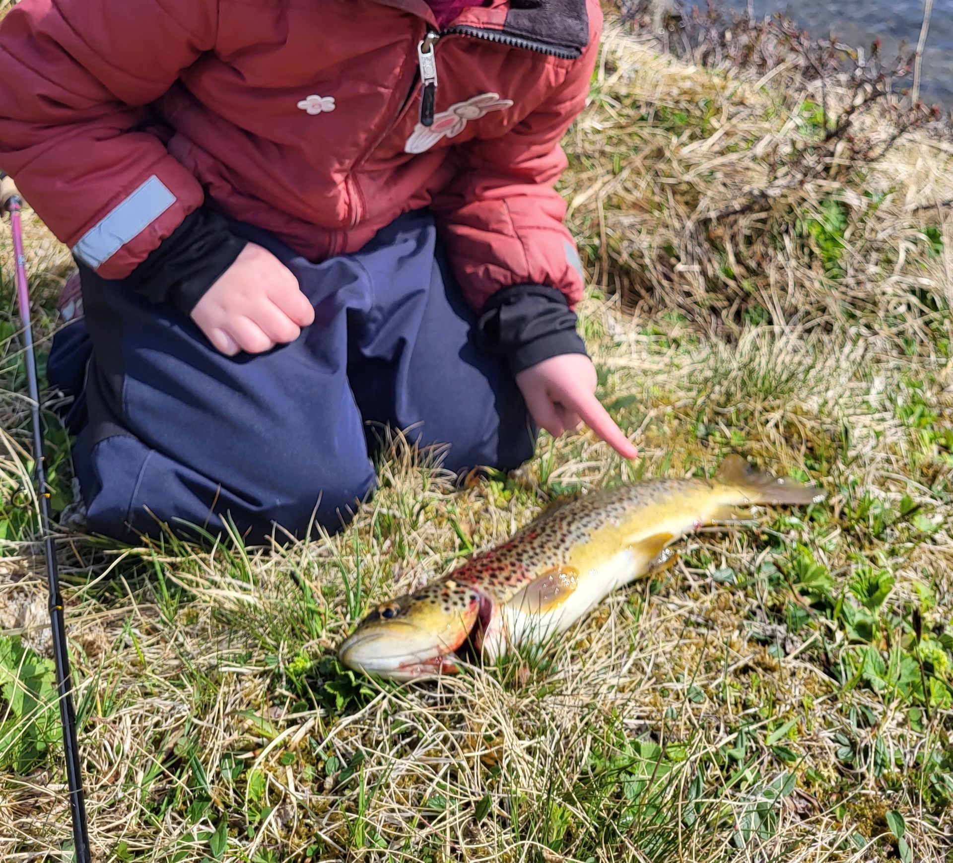 Barna- og fjölskylduferð. Veiðiferð - Ljósavatn