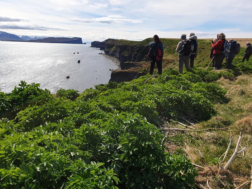 Málmey 2. 
Saga, náttúra og menning