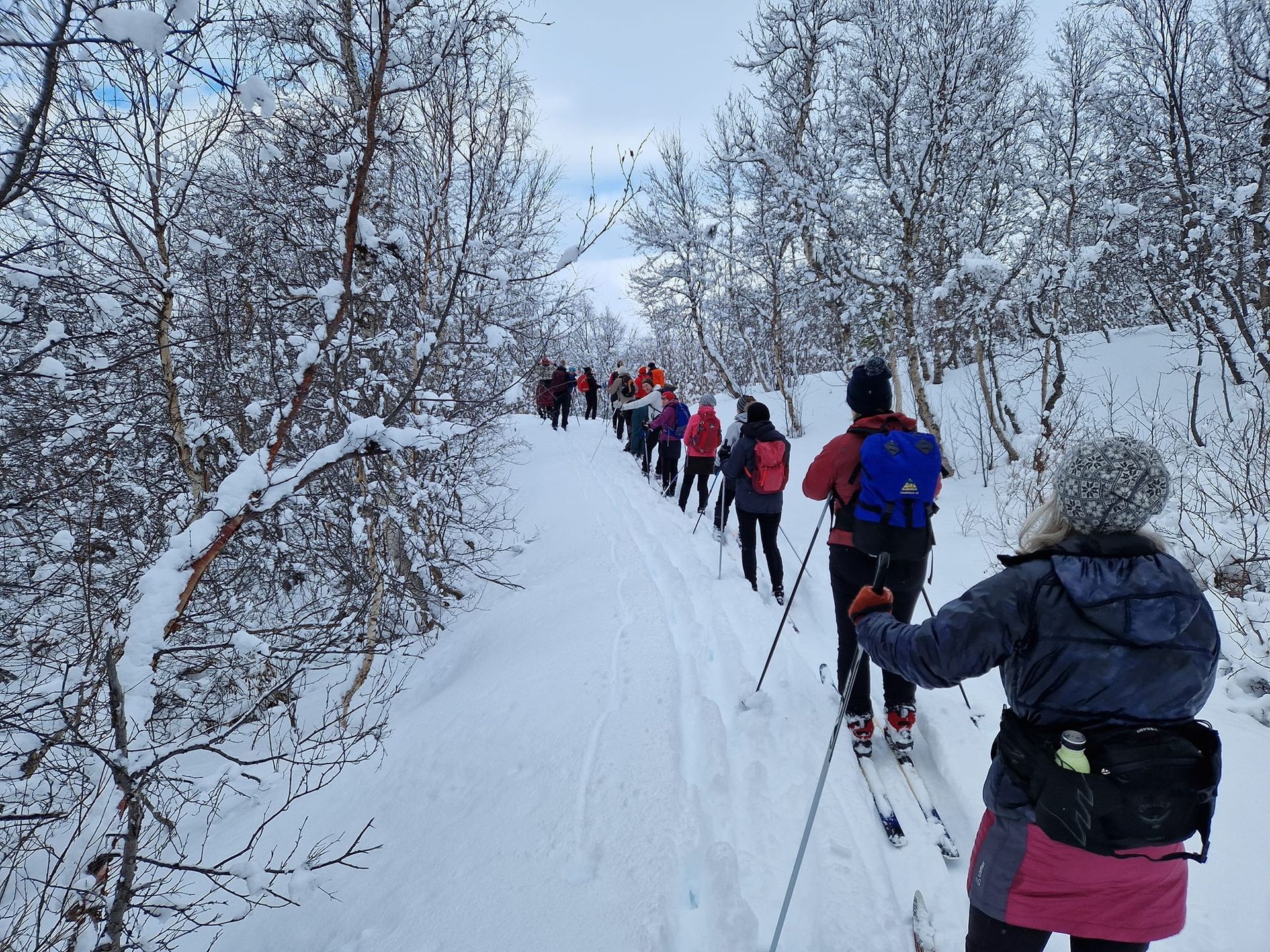 Skíðaganga: Óvissuferð í Fjóskadal. Þórðarstaðir - Lundsskógur