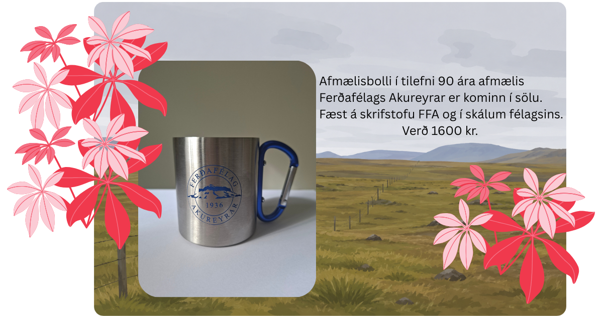 Afmælisbolli í tilefni 90 ára afmælis Ferðafélags Akureyrar 

er kominn í sölu