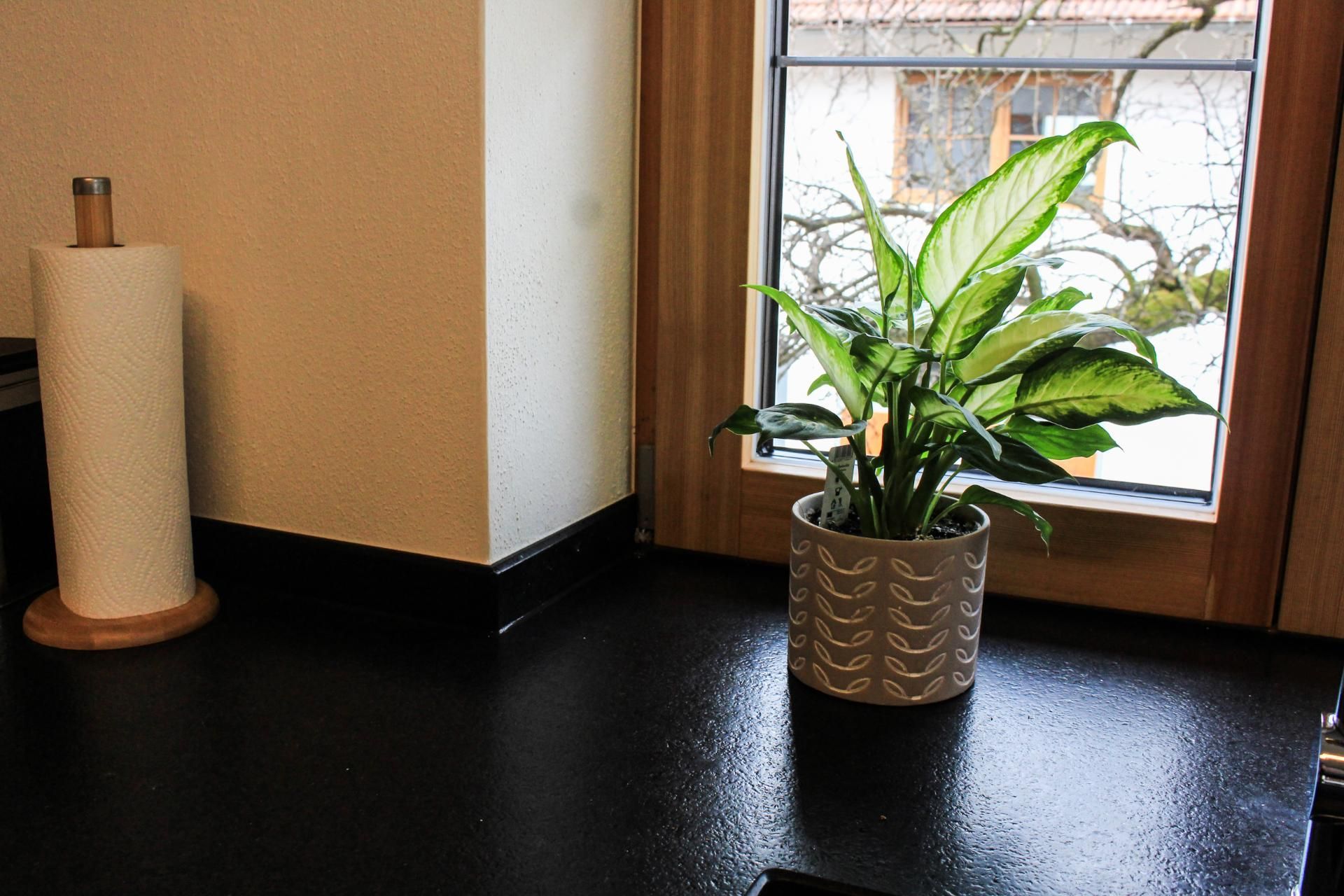 Küchenplatte, Material: Cambrian Black