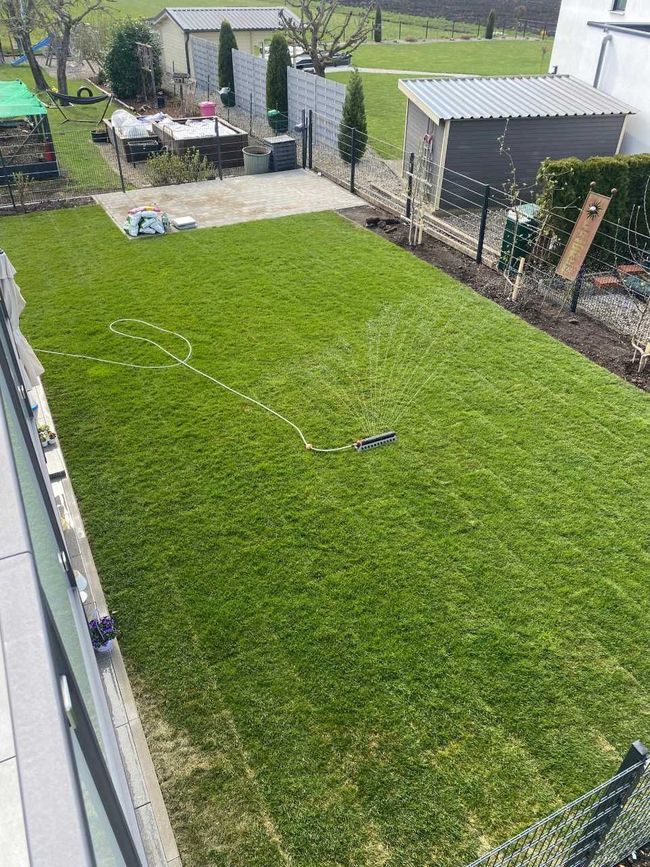 Hinterhof mit Rasenfläche, kleinen Schuppen und einer gepflasterten Terrasse entlang des Zauns.