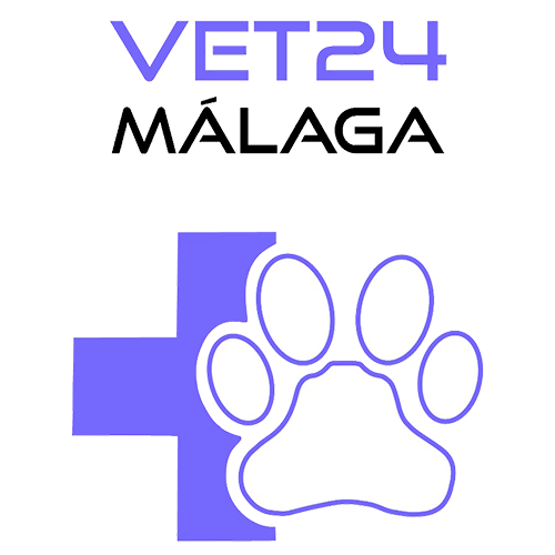 logotipo cabecera