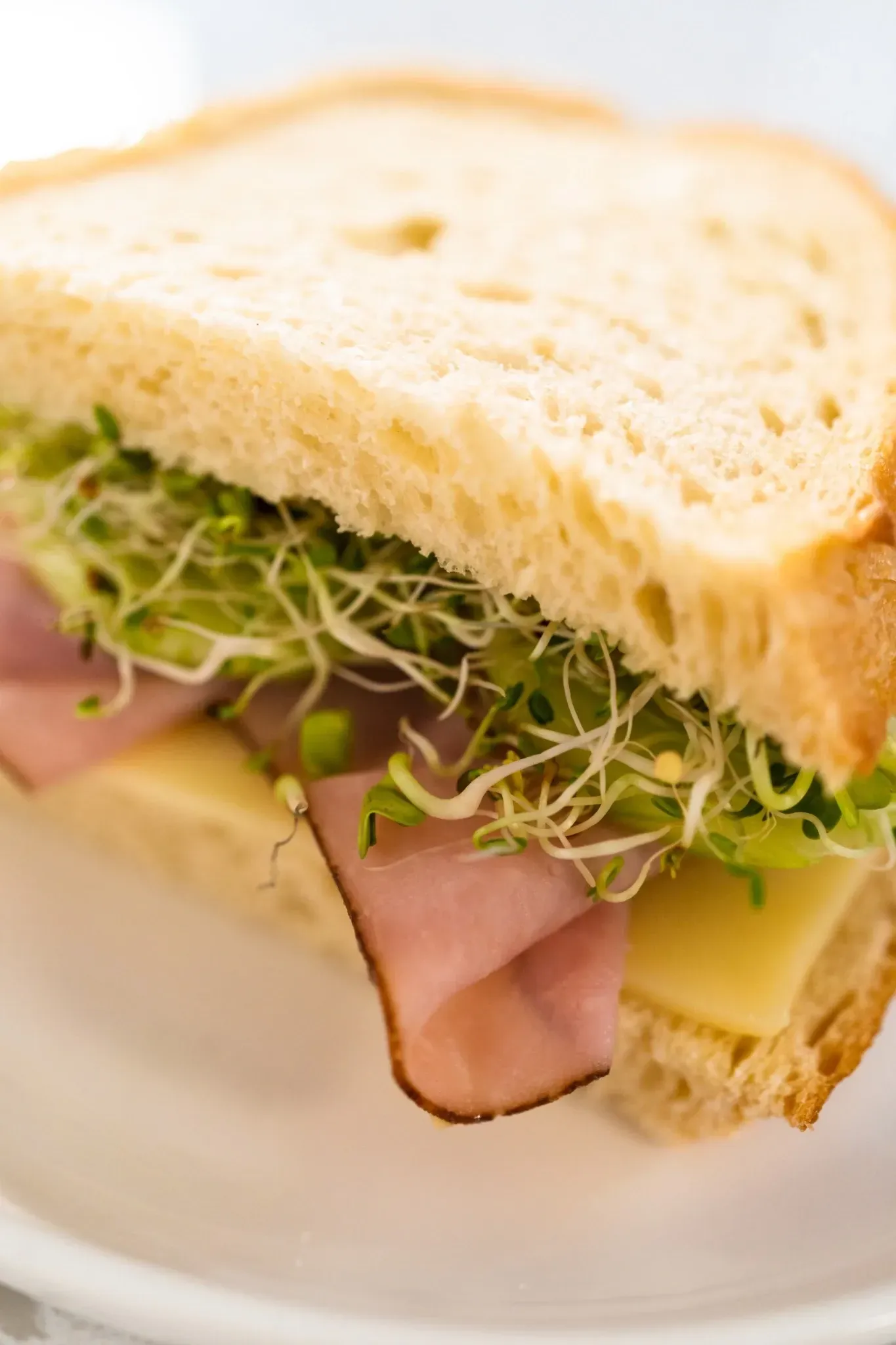 Sándwich de jamón y queso con brotes en plato blanco.