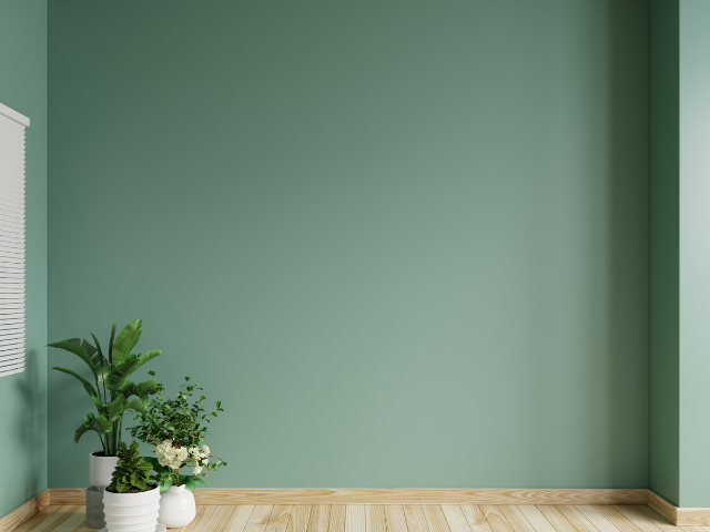 Une pièce avec des murs vert sauge, un parquet et des plantes en pot au sol.