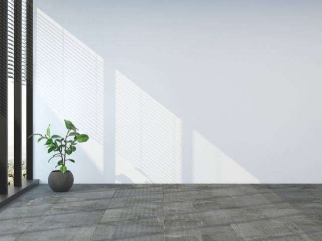 Pièce vide avec une grande fenêtre projetant lumière et ombre sur le mur blanc et le sol gris, une plante sur le sol.