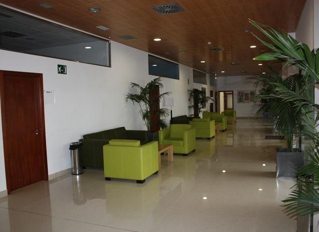 Vestíbulo de oficina moderno con sillones verdes, plantas en macetas y un suelo de baldosas brillantes.