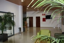 Vestíbulo luminoso y moderno con plantas en macetas, puertas de madera y sillas verdes sobre un suelo brillante.