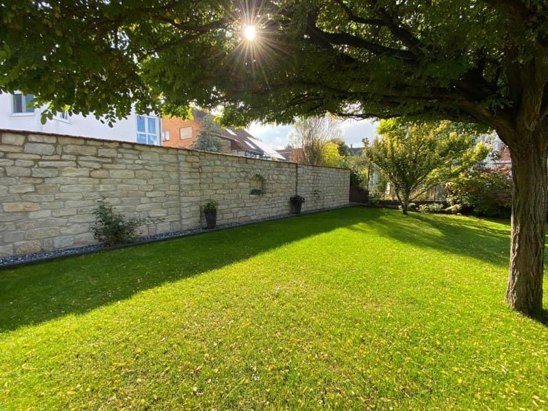 Die Sonne scheint durch die Bäume im Hinterhof