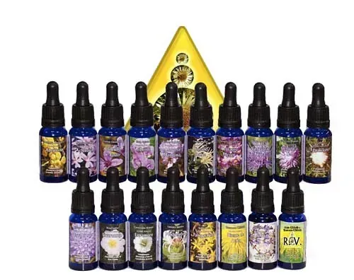 Un montón de botellas de aceites esenciales están alineadas en una fila.