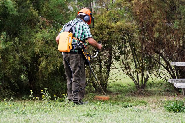 Une personne utilise une débroussailleuse à essence dans un jardin herbeux près d'arbres et d'un banc.