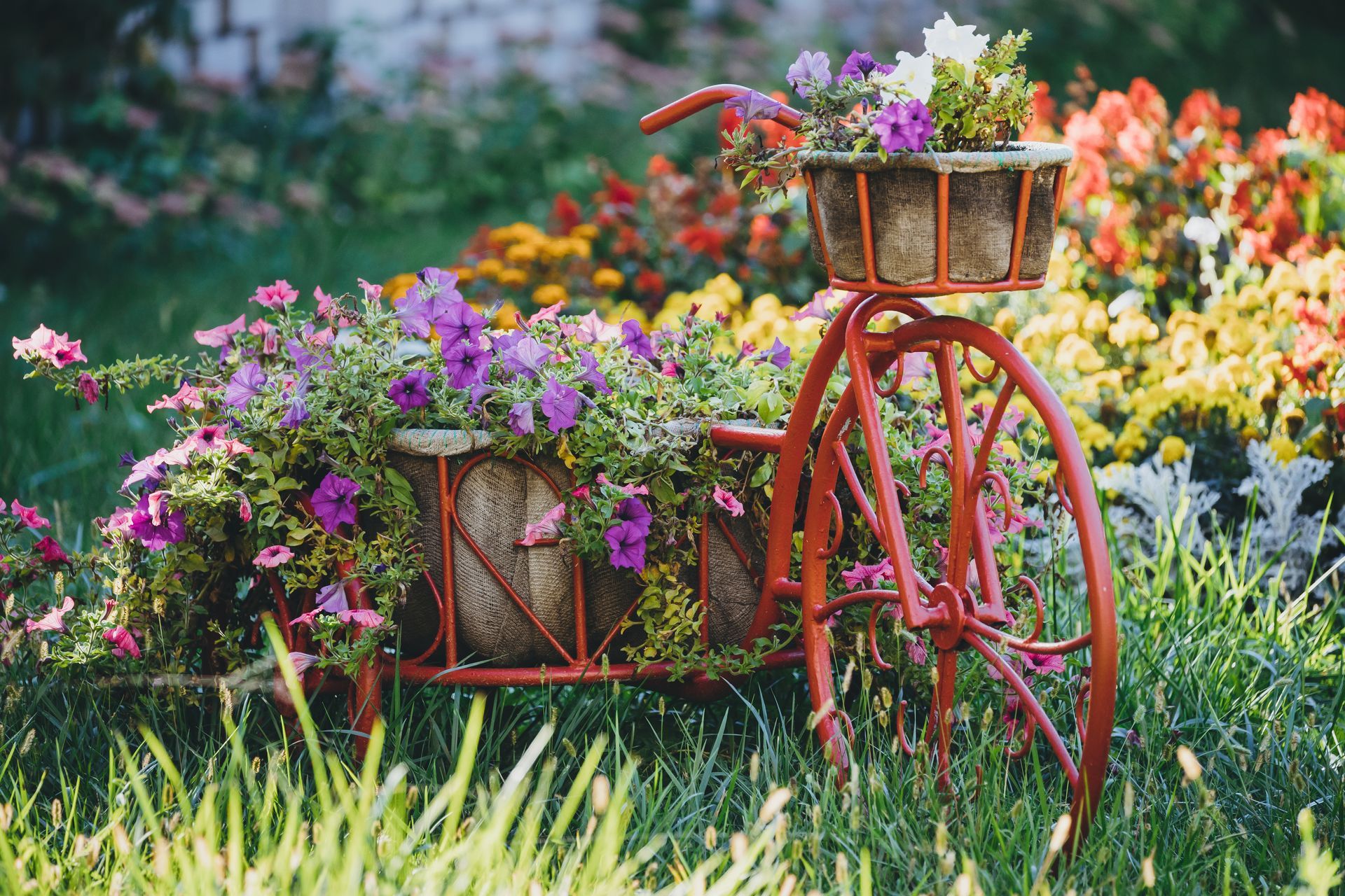 Chariot à fleurs rouge vintage dans un jardin, rempli de fleurs colorées et entouré d'une herbe luxuriante.