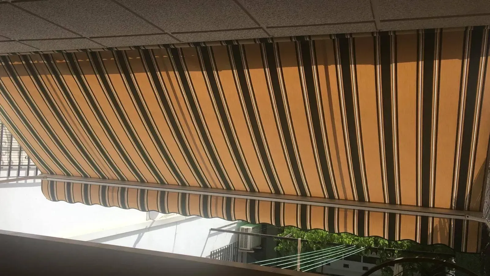Vista inclinada de un toldo a rayas con la luz del sol filtrándose a través de él, sobre una hilera de macetas con plantas verdes.