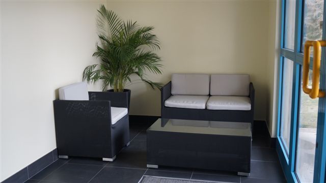 Un canapé avec un palmier