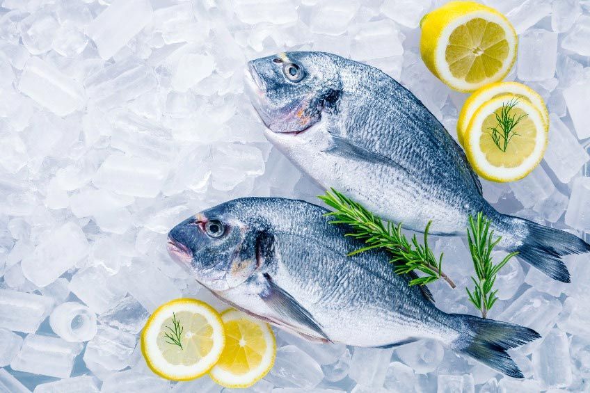 Dos peces están sentados sobre hielo con rodajas de limón y romero.
