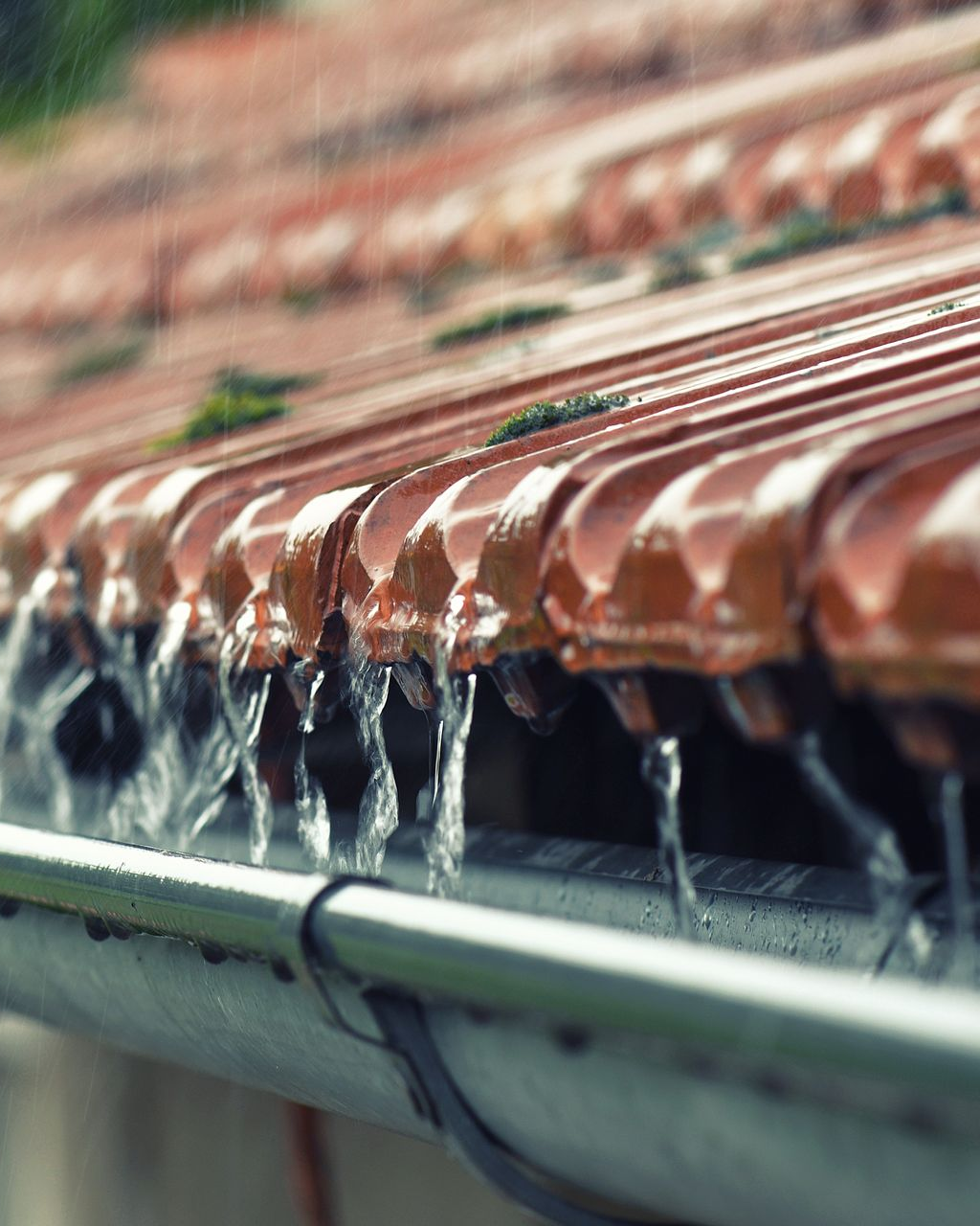 L'eau de pluie ruisselle d'un toit en tuiles parsemé de mousses.