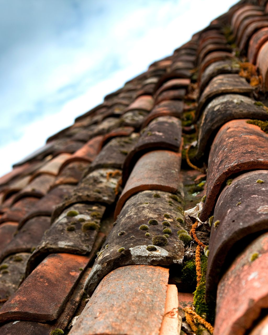 Gros plan sur des tuiles en terre cuite abîmé par le temps avec des traces de pollution et des mousses.