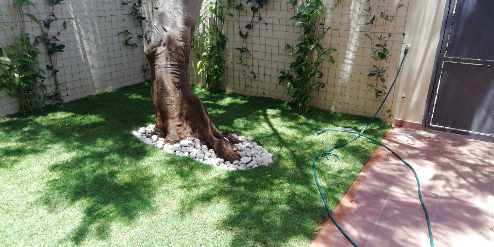 Un tronco de árbol está en medio de un exuberante césped verde.