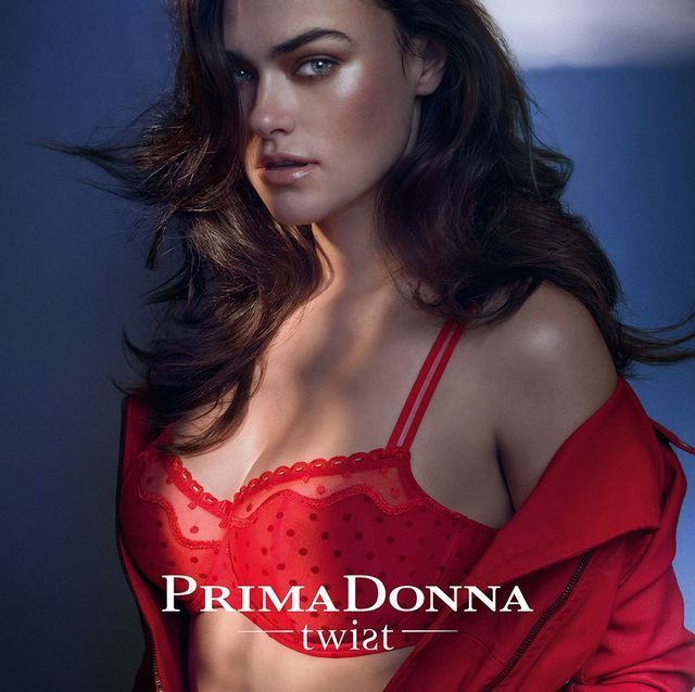 BH von Prima Donna