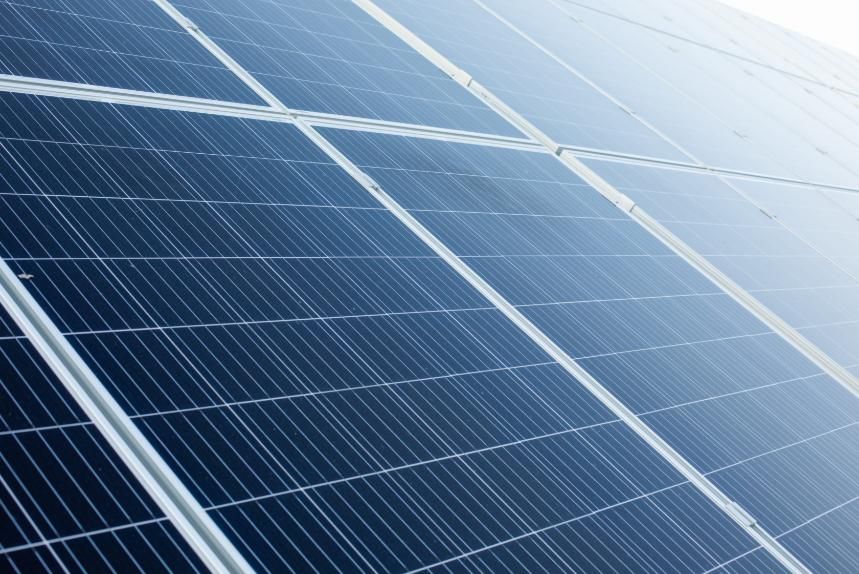 Un jardín soleado cuenta con césped verde bien cuidado, setos recortados y una hilera de cipreses altos