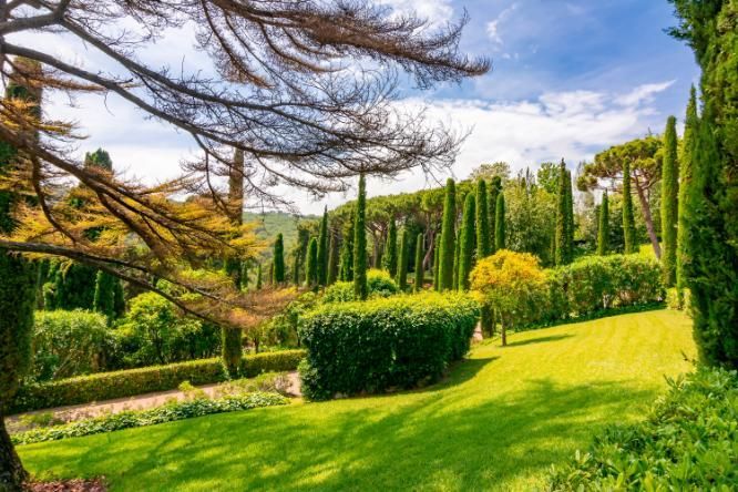 Un jardín soleado cuenta con césped verde bien cuidado, setos recortados y una hilera de cipreses altos