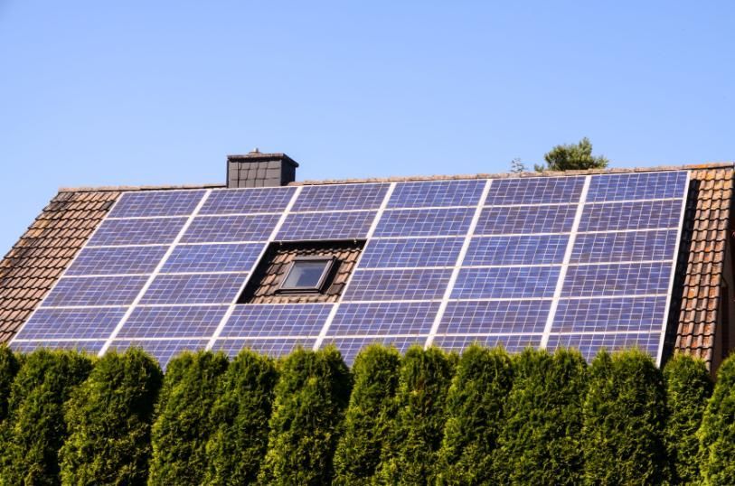 Una cortadora de césped eléctrica de color turquesa y negro cortando el césped en un día soleado.