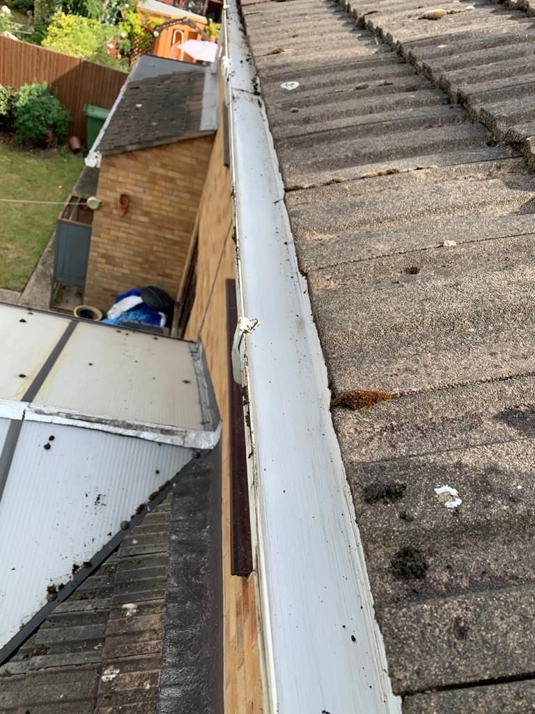 Roof gutter and adjacent rooftops with a small shed below, showing weathered white fascia boards.