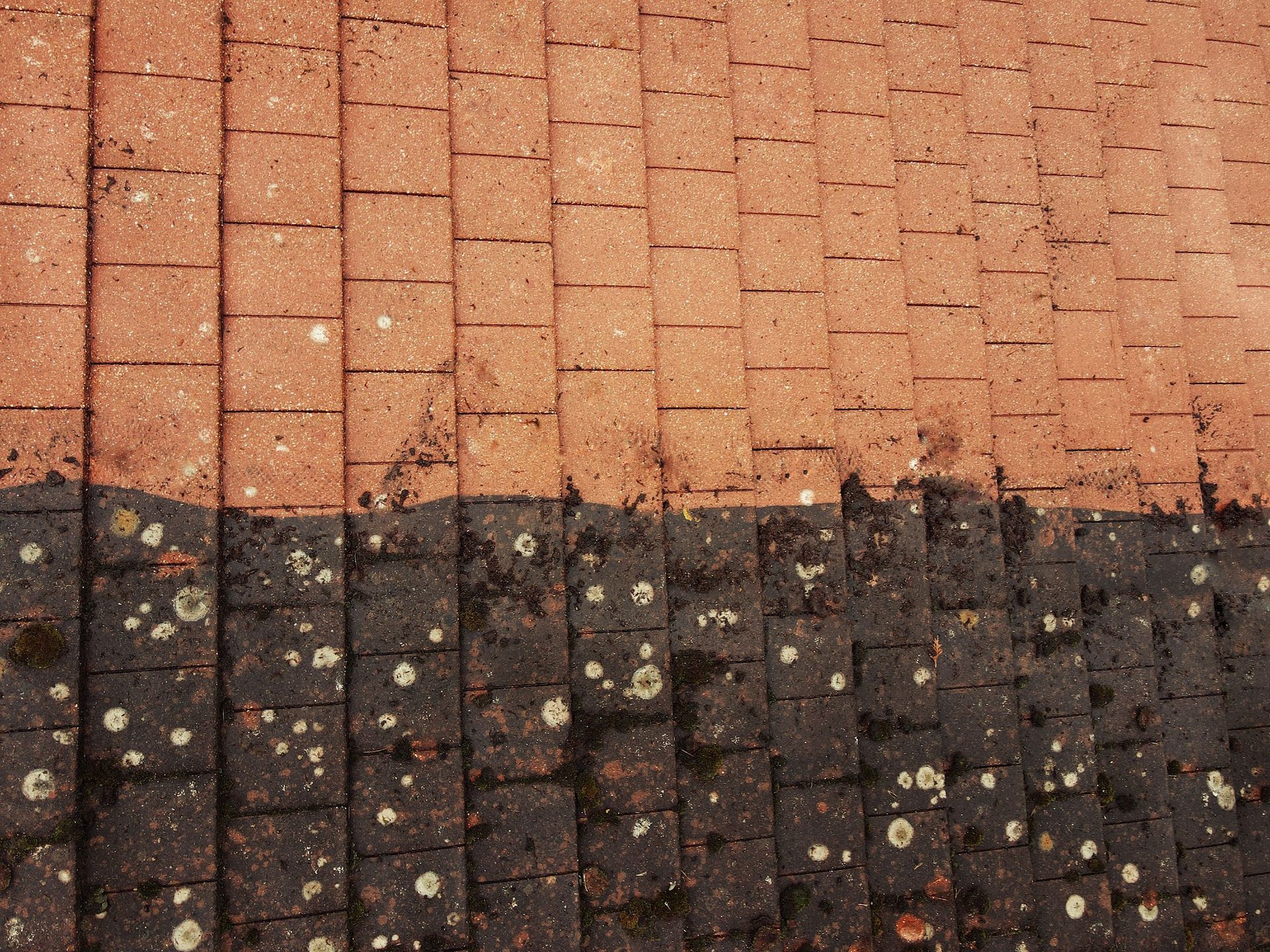 Tiled roof with a wavy line separating reddish tiles above and dark, weathered tiles below