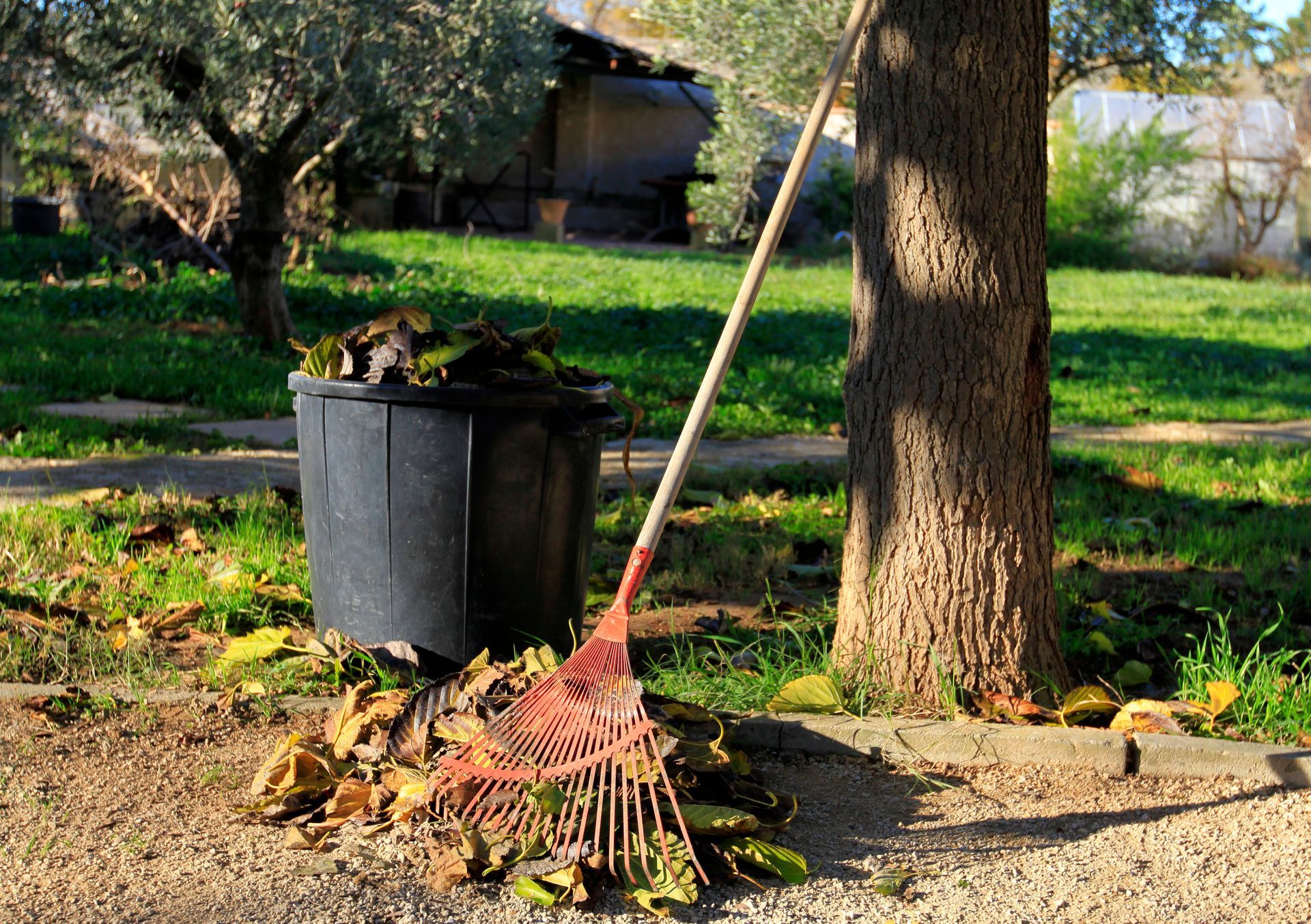 Ramassage de feuilles