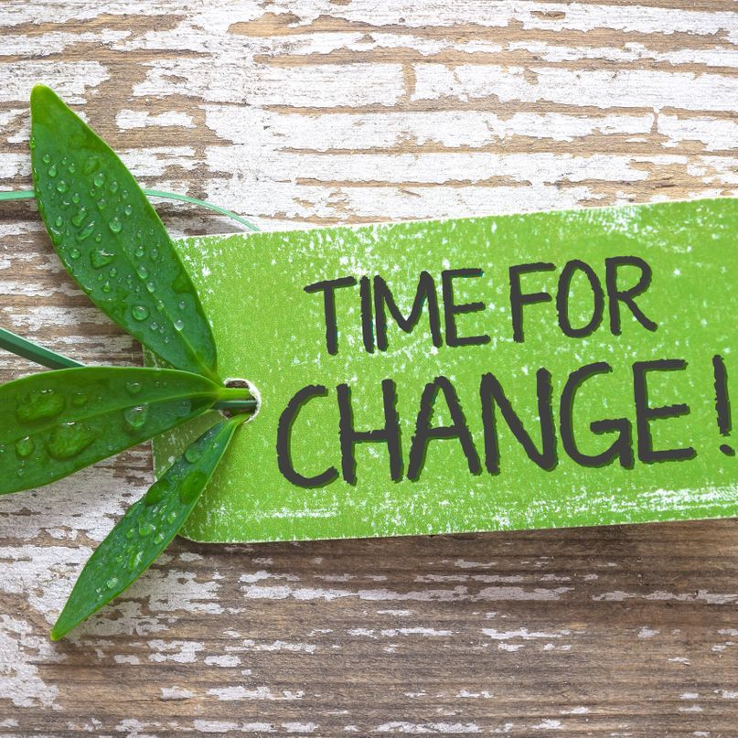 Bioenergie - Caldera-Energie-Systeme