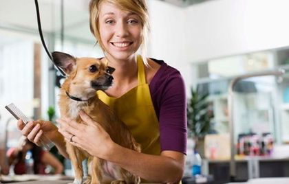 Una mujer está cuidando a un perro pequeño en una peluquería de mascotas.