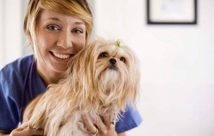 Una mujer sostiene un perro pequeño en sus brazos.