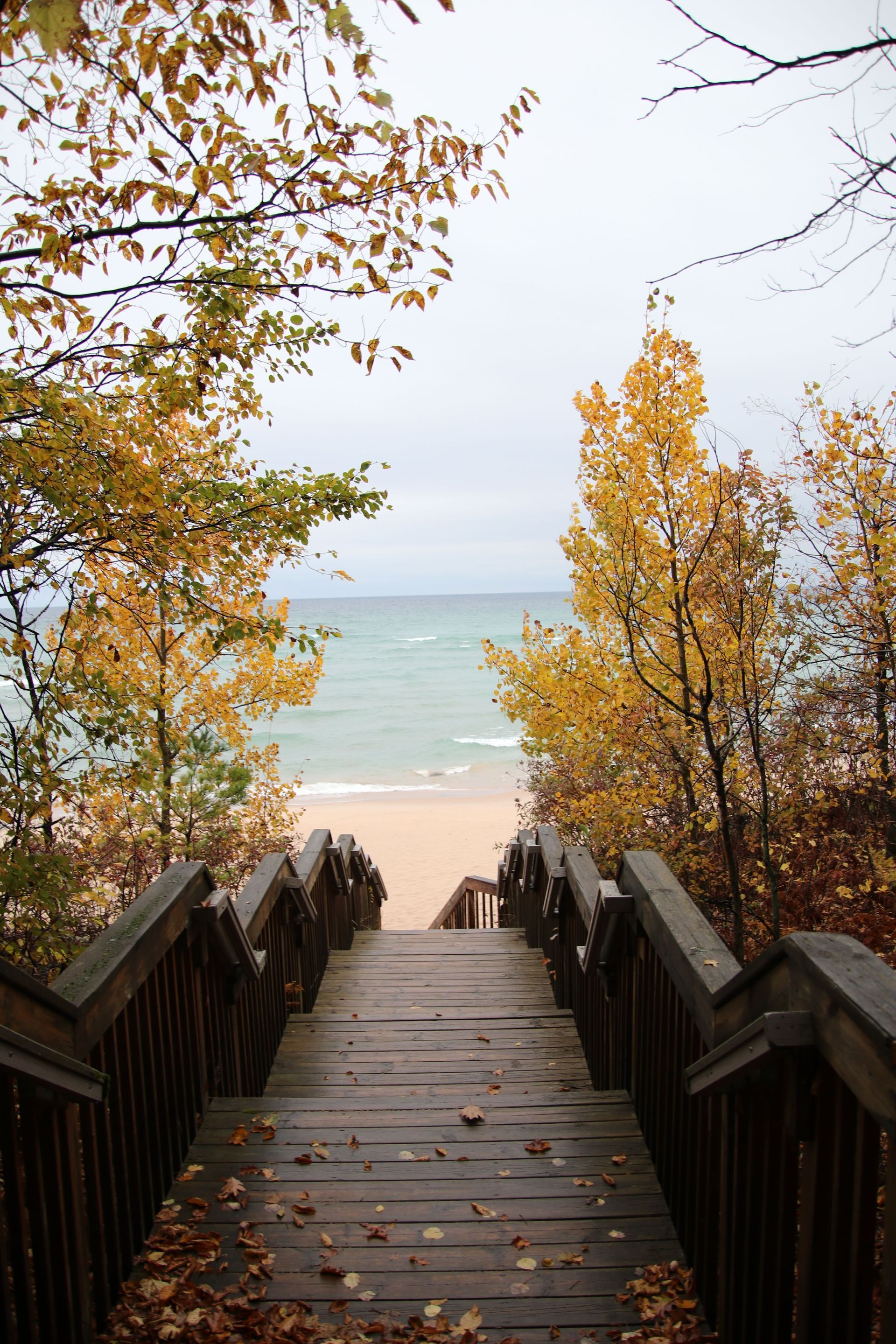 Wooden stairs leading to a sandy beach and calm blue water, framed by autumn trees
