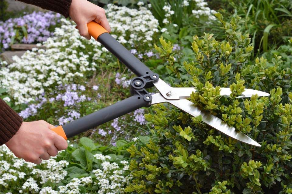 Mitarbeiter von Sommer Garten- und Landschaftsbau schneidet Sträucher mit einer Heckenschere