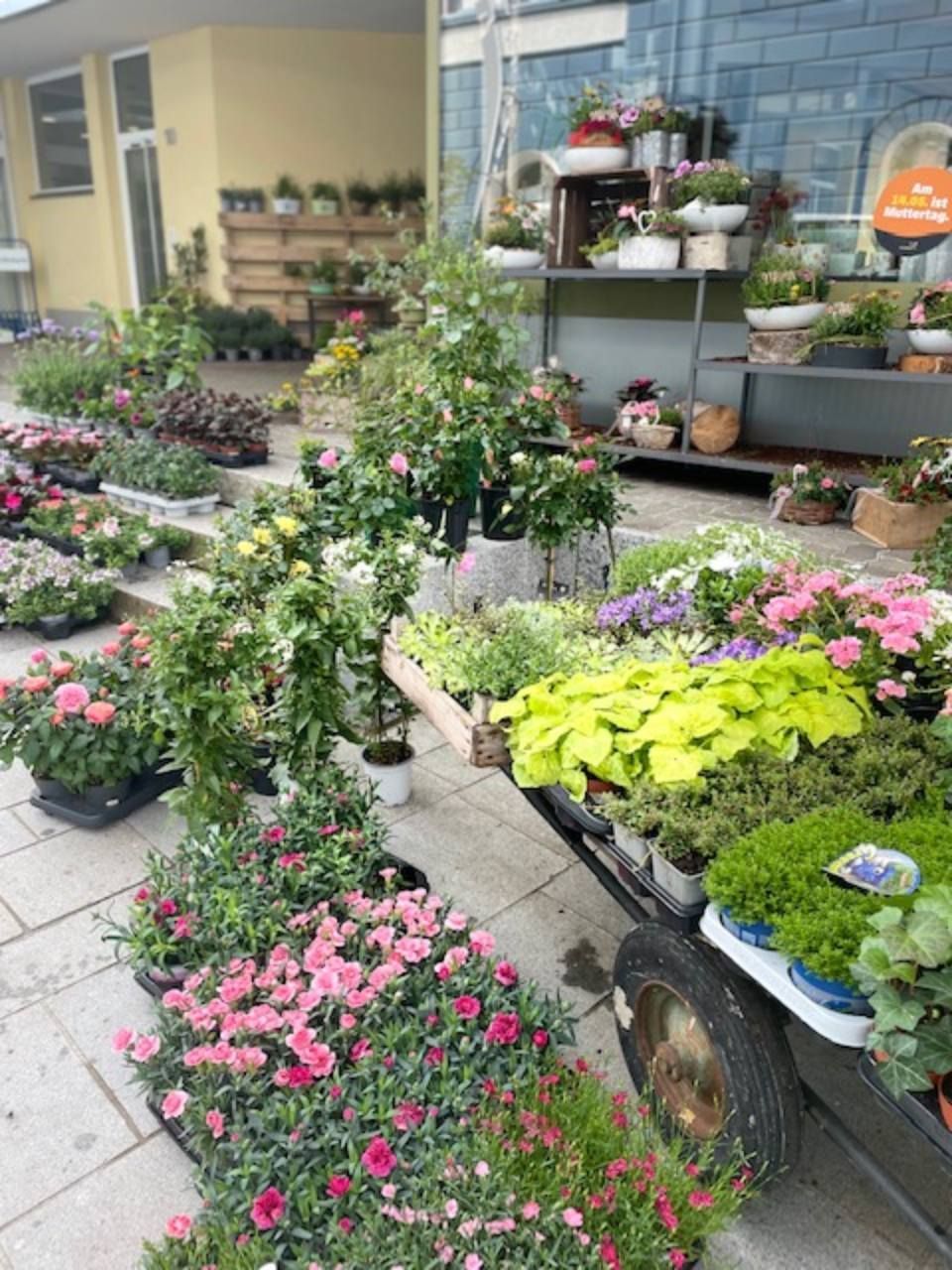 Blumenladen Löffingen und Hinterzarten