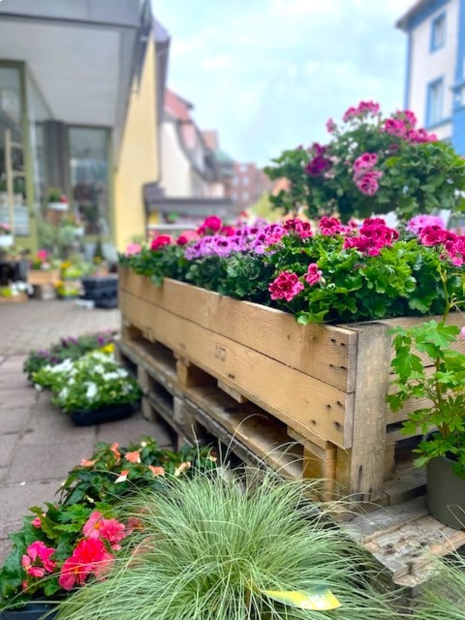 Blumenladen Löffingen und Hinterzarten