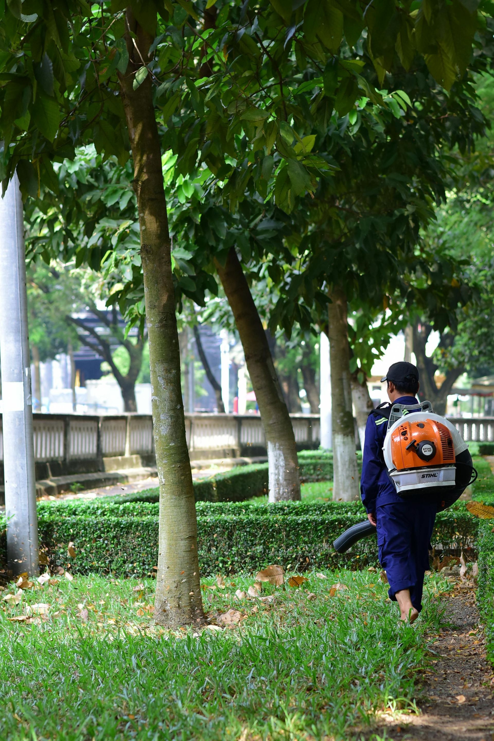 Servicio local de jardinería y mantenimiento de árboles captando clientes mediante SEO local