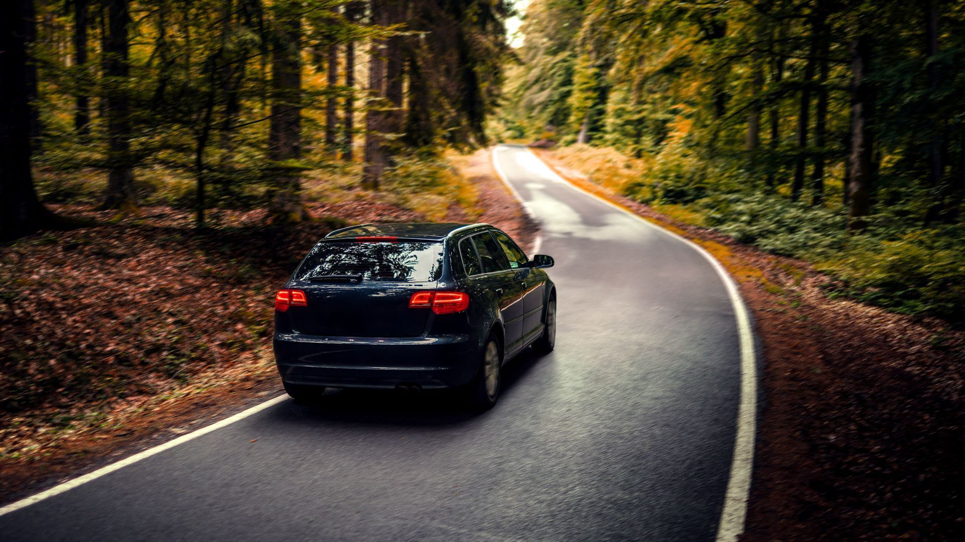 Voiture sur la route dans les bois