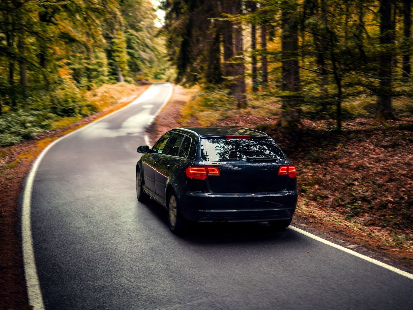 Voiture qui roule dans les bois