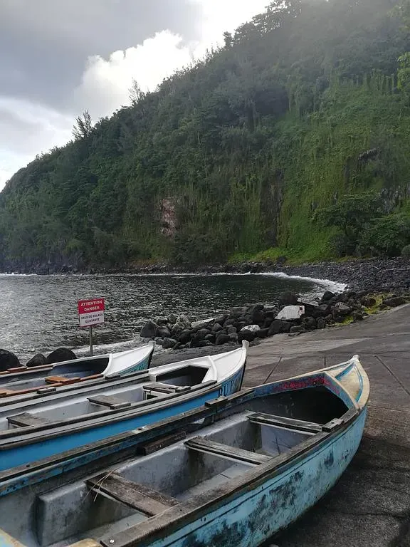 Barques déposées près de l'eau