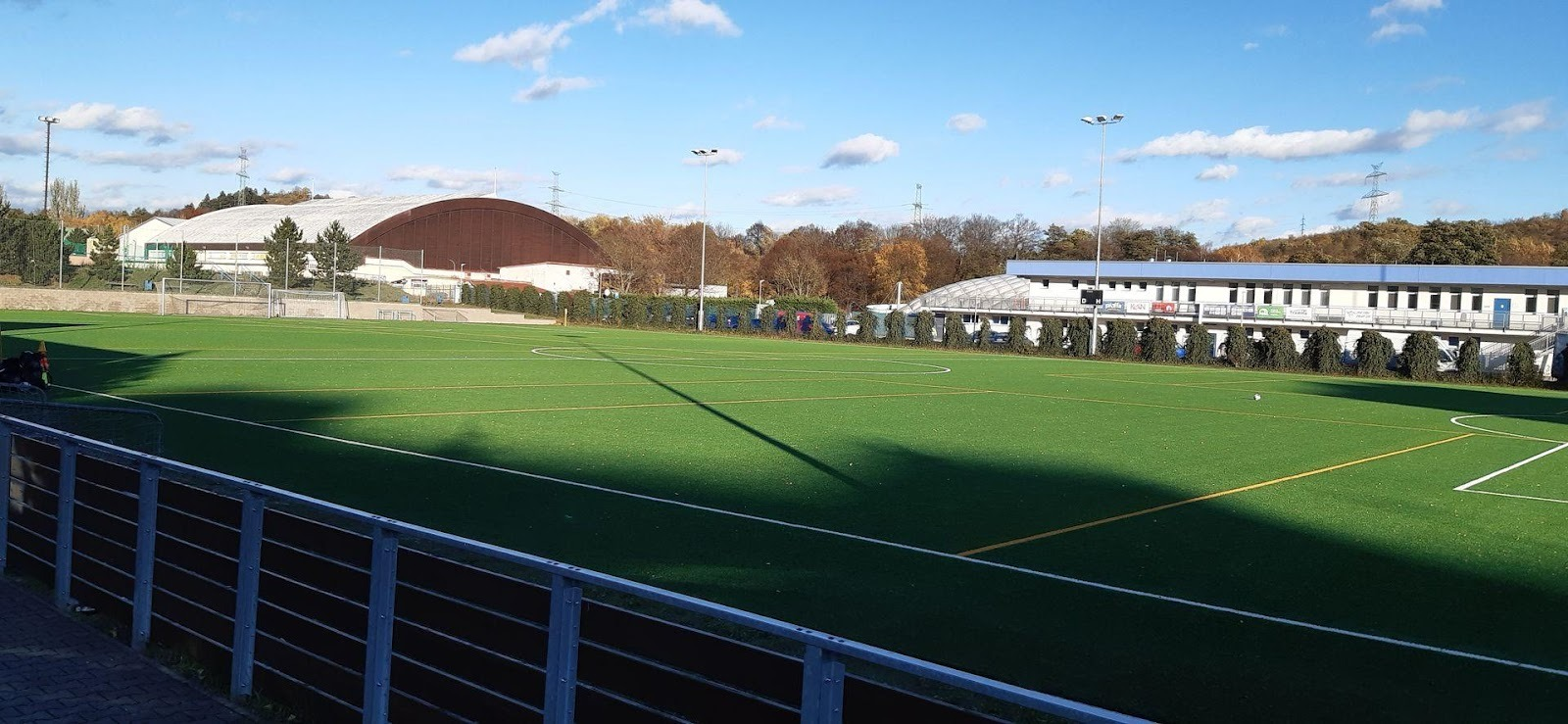 Grüner Sportplatz mit weißen Linien, blauer Himmel und Gebäuden im Hintergrund.