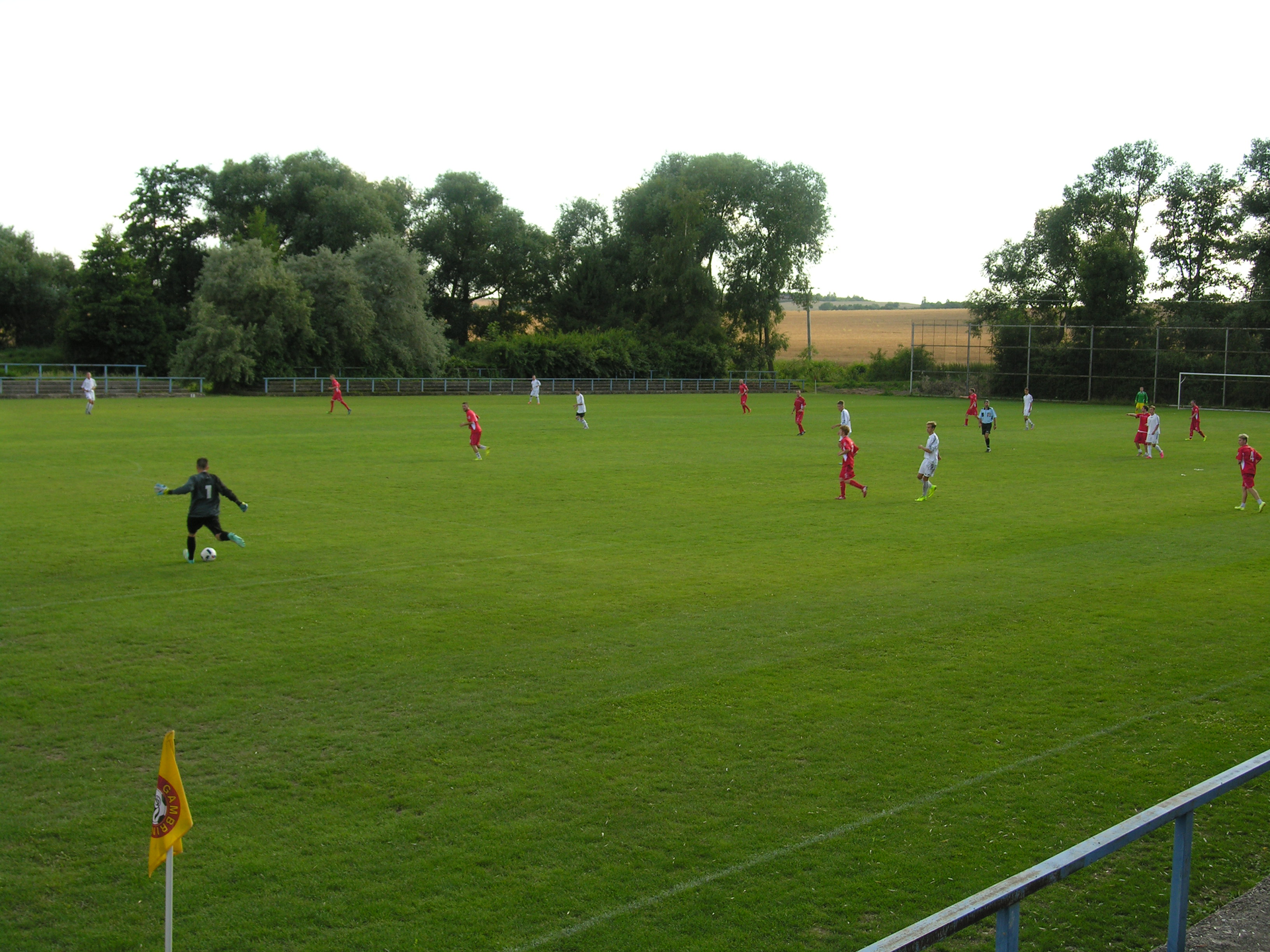 Fußballspiel auf einem grünen Rasen. Spieler in rot-weißen Trikots spielen. Bäume im Hintergrund.