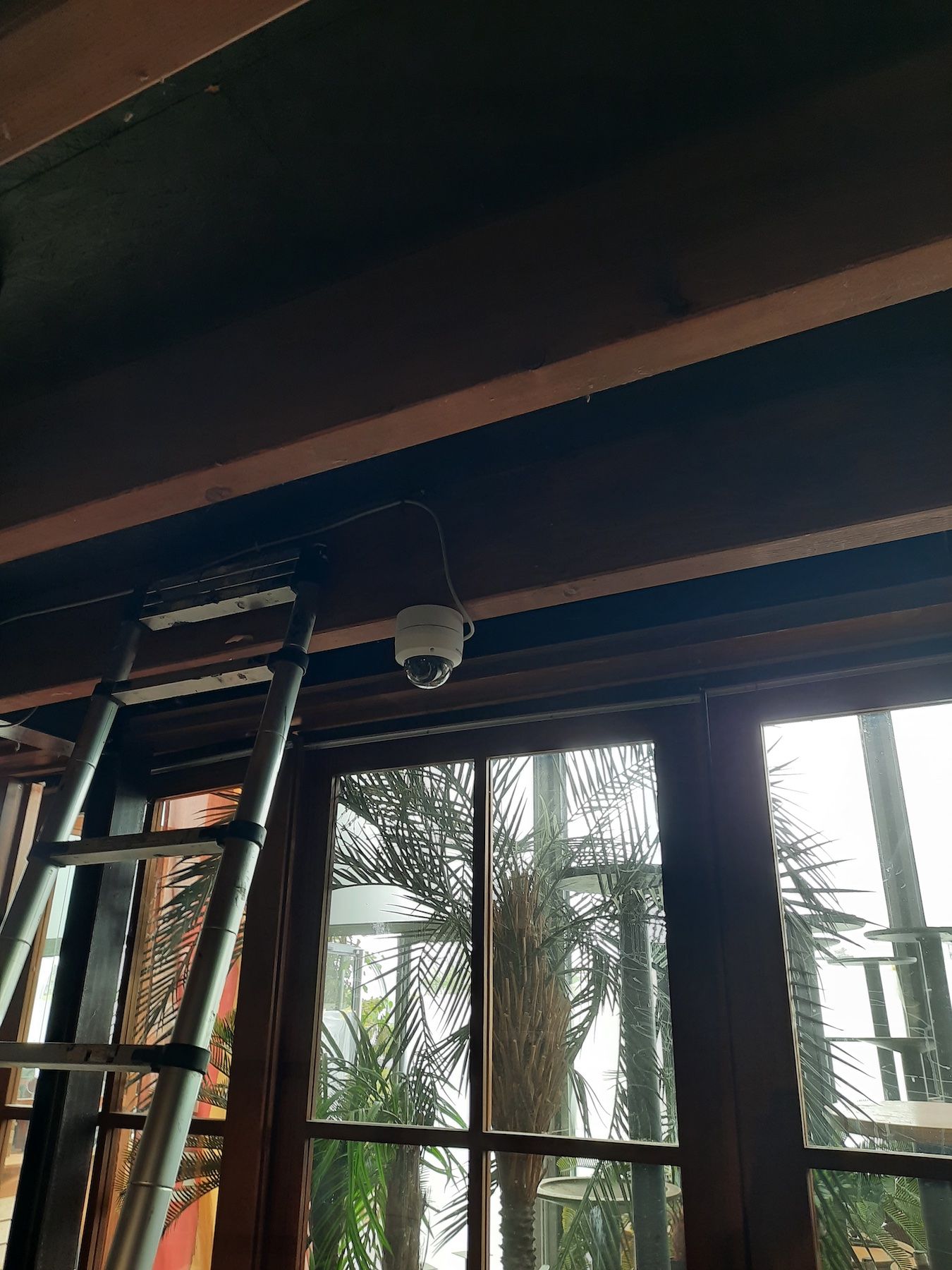 Échelle et suspension lumineuse à l'intérieur d'une pièce avec de grandes fenêtres et des palmiers à l'extérieur.